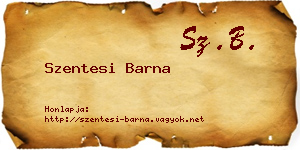 Szentesi Barna névjegykártya